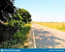 Roadside